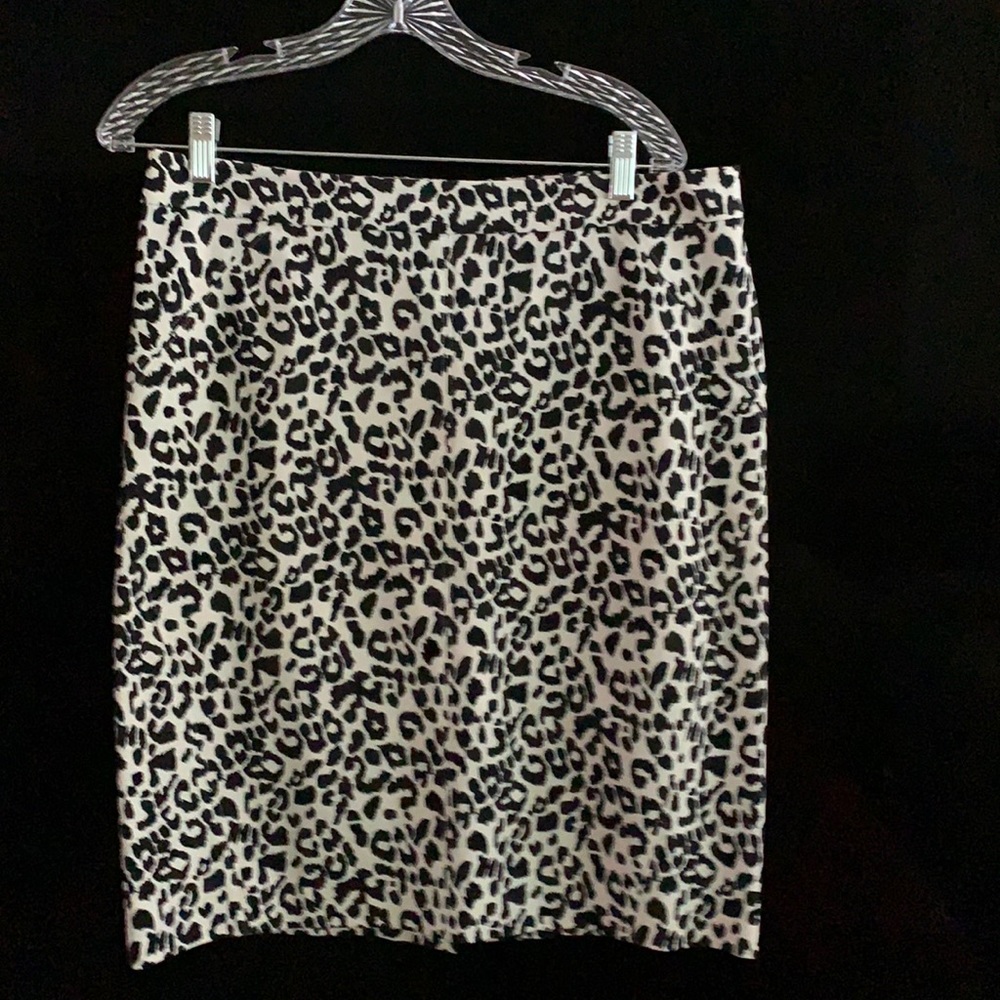 Women’s size 12 skirt